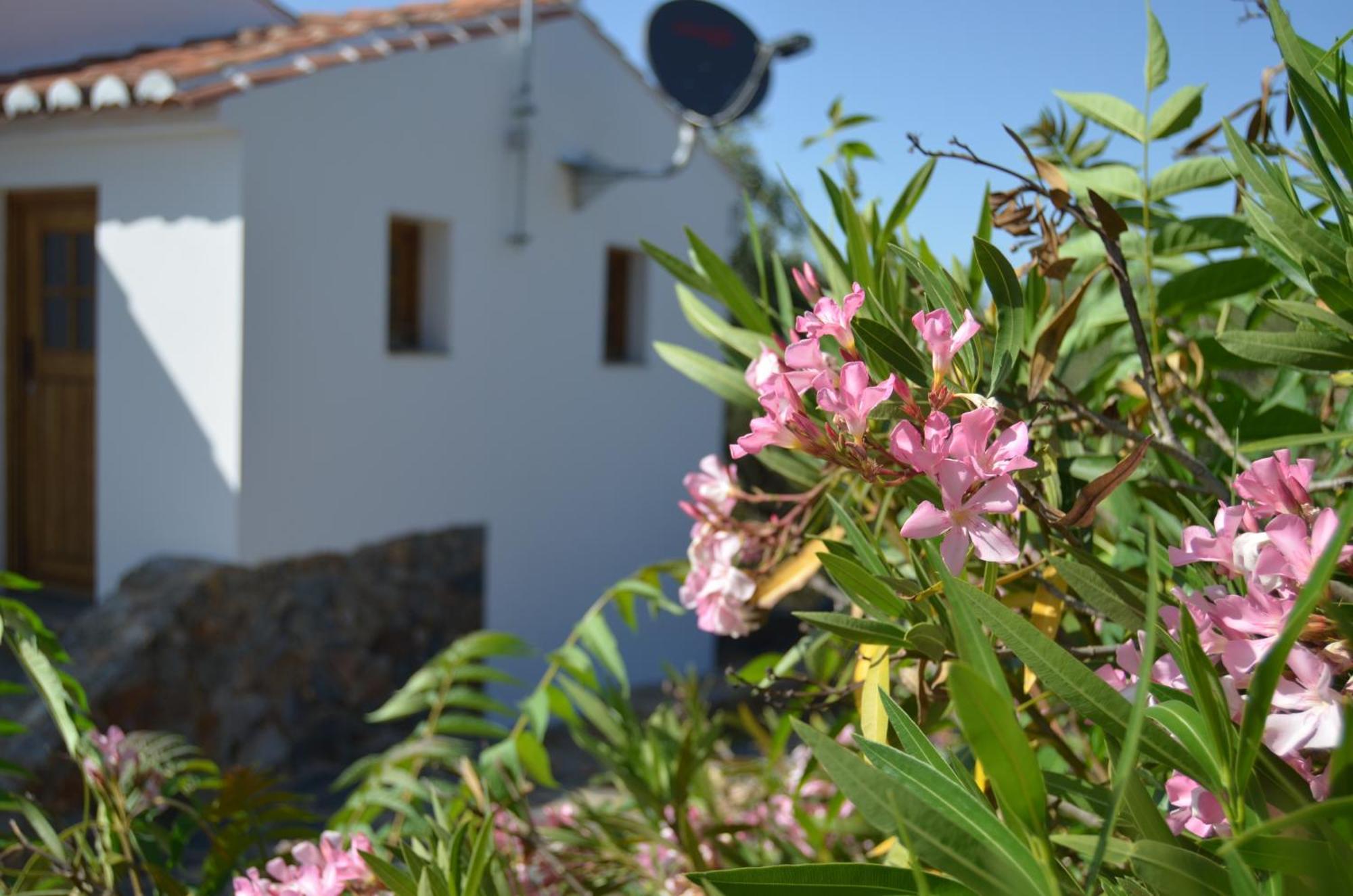 Casa Do Passaro Villa Galegos  Exterior photo